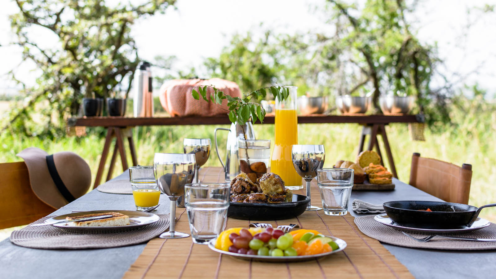 Tanzania Safari and beach