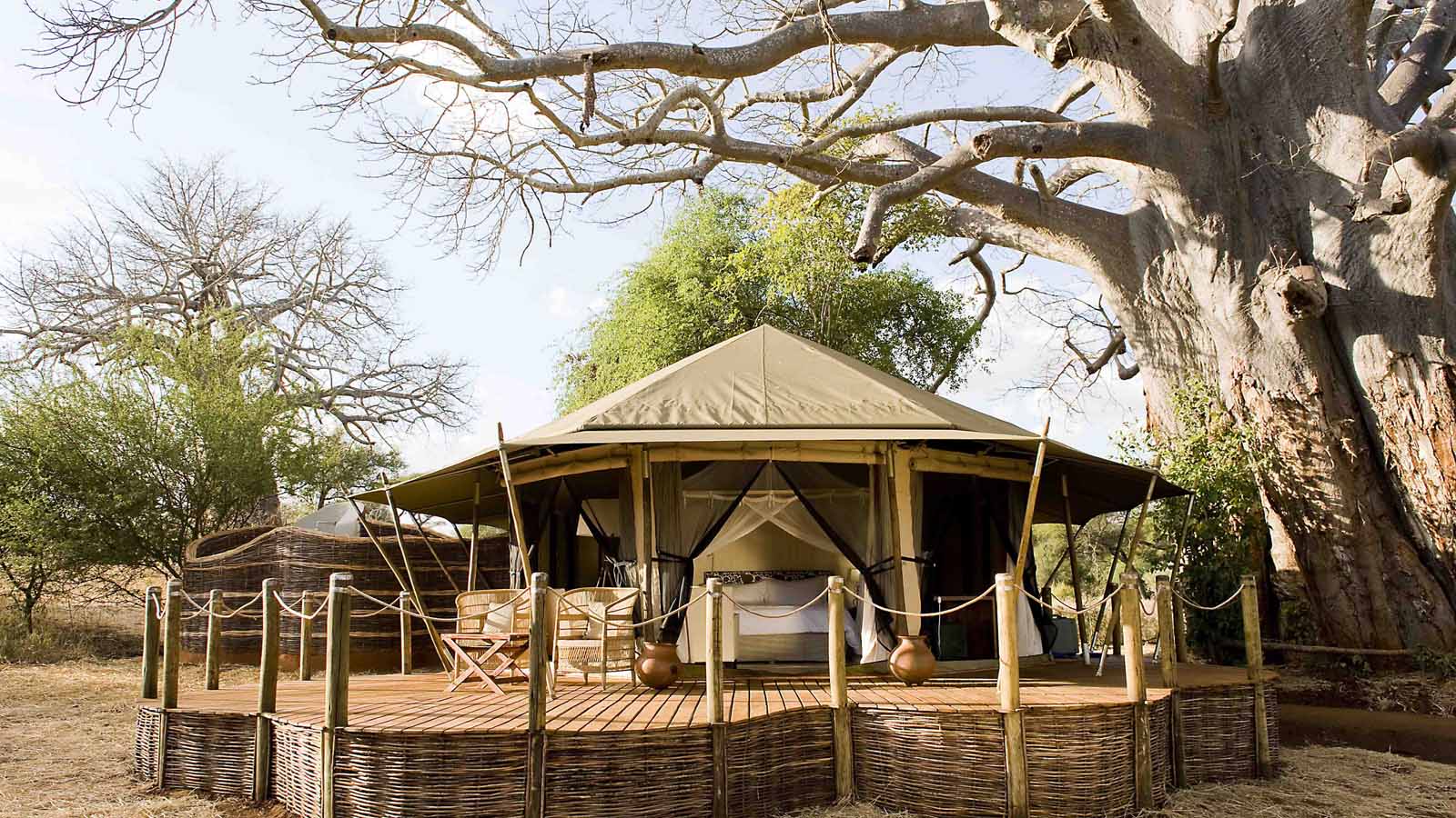 Tanzania Safari and beach