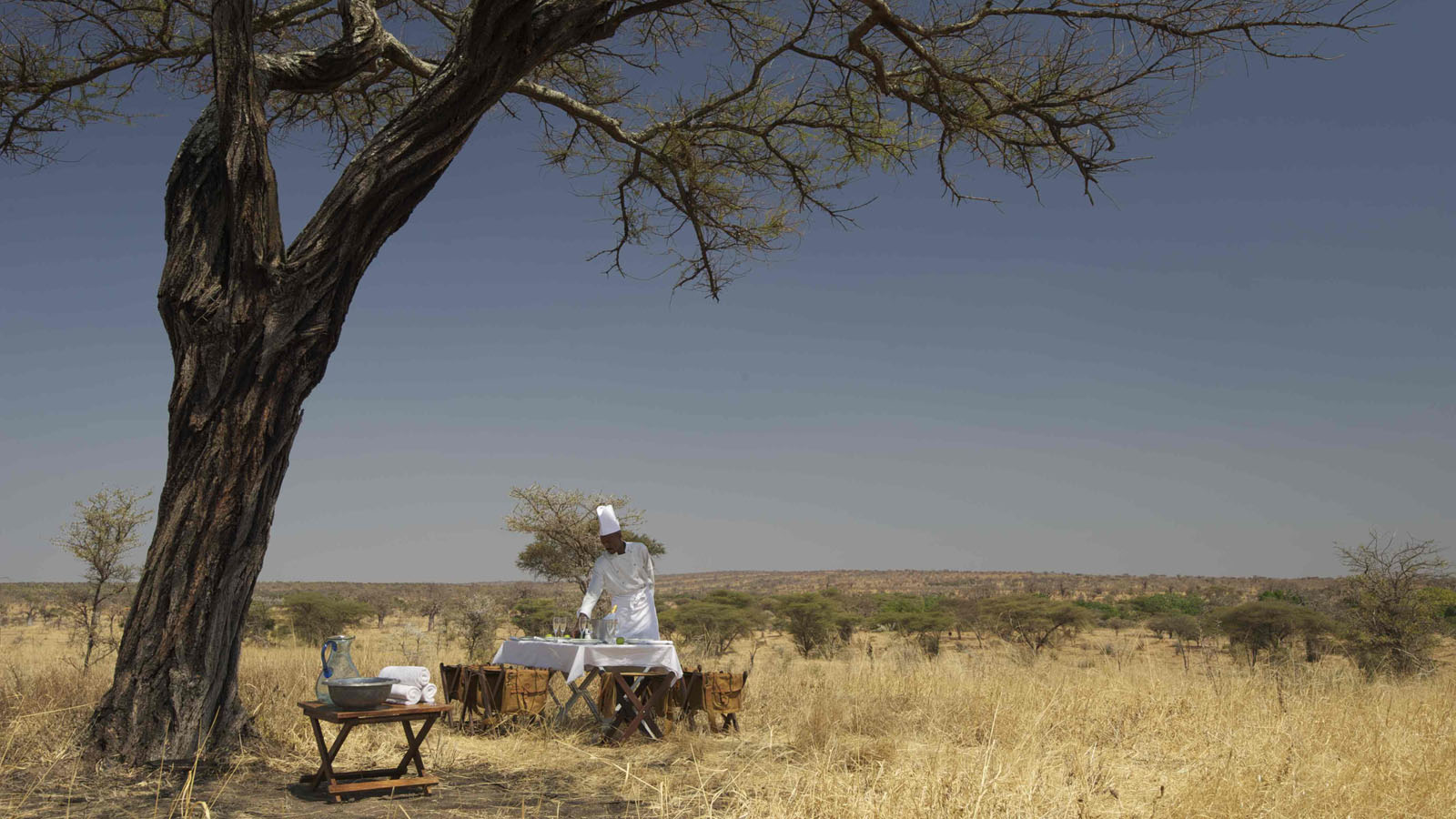 Tanzania Safari and beach