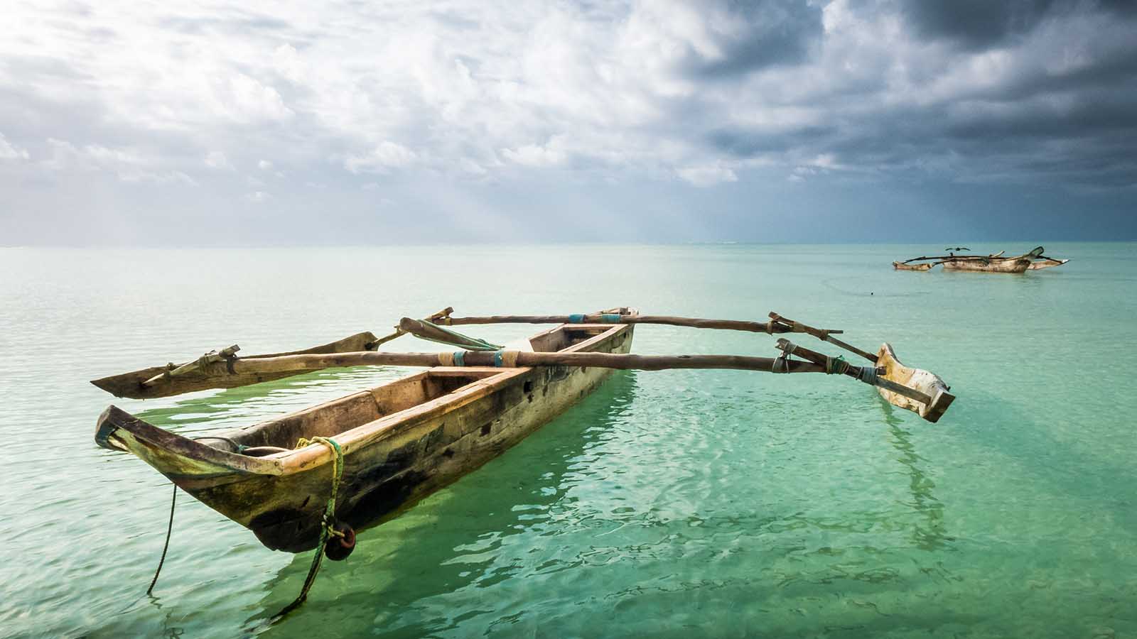 Tanzania Safari and beach