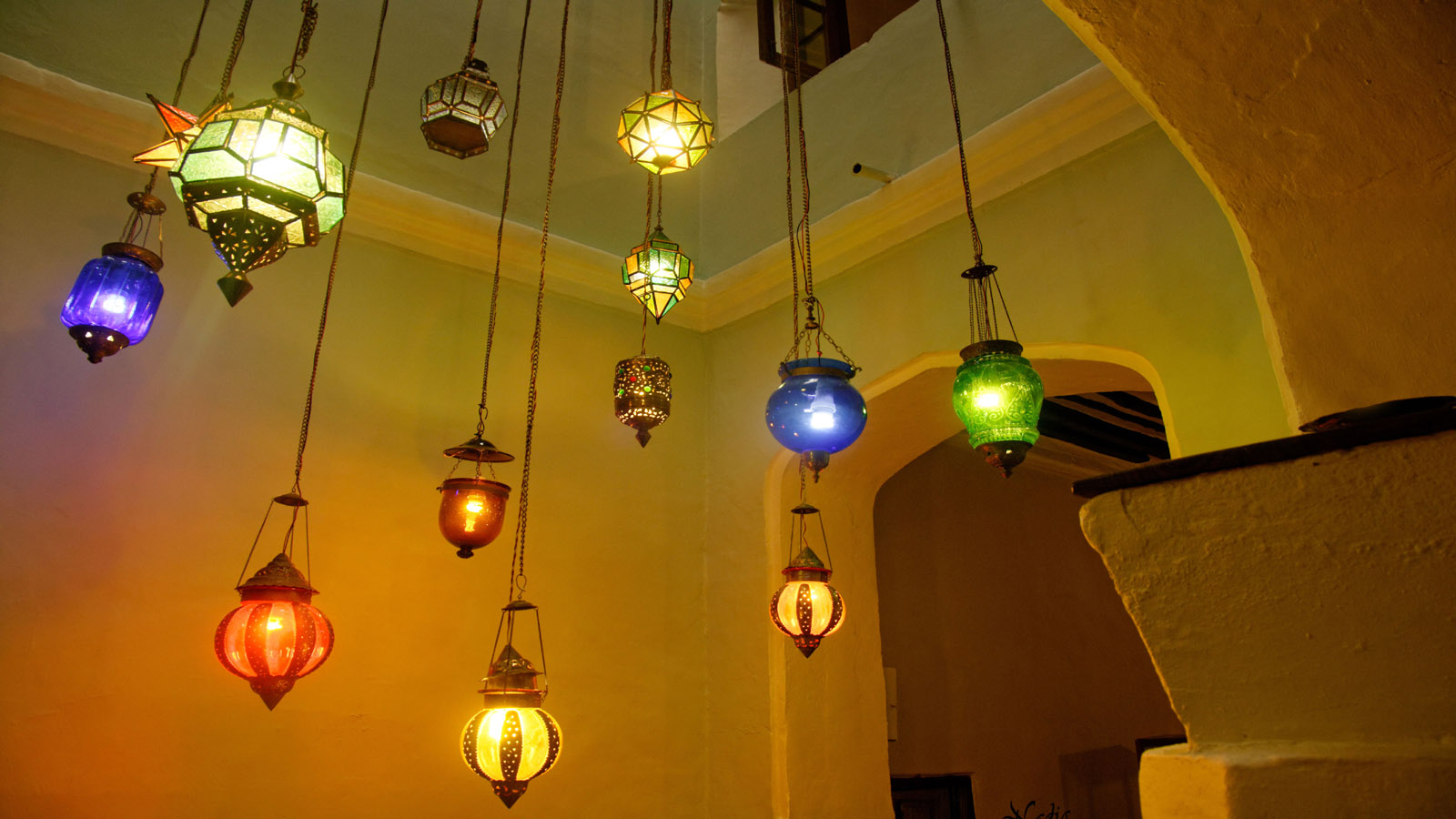 Tanzania Safari and beach