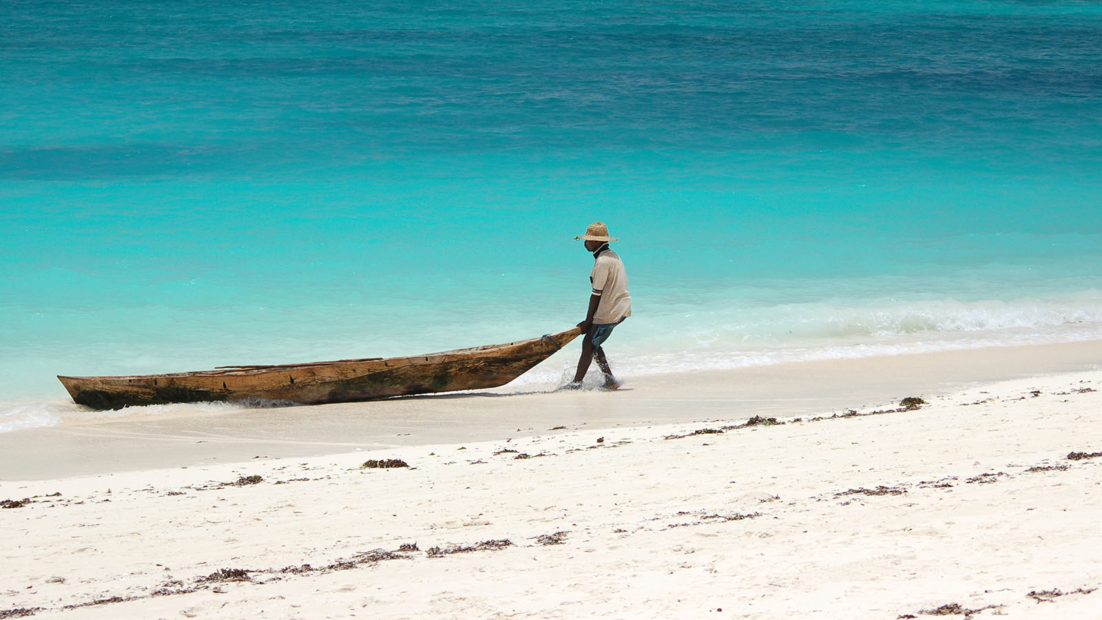 Tanzania Safari and beach