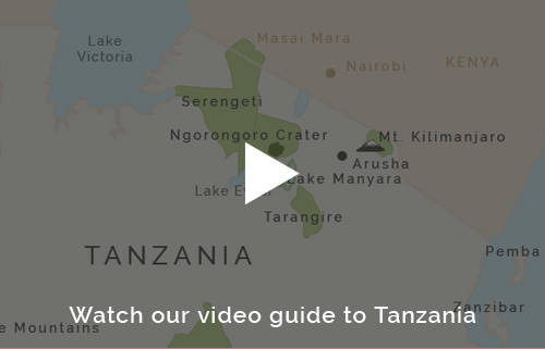 Tanzania safari planning with the experts