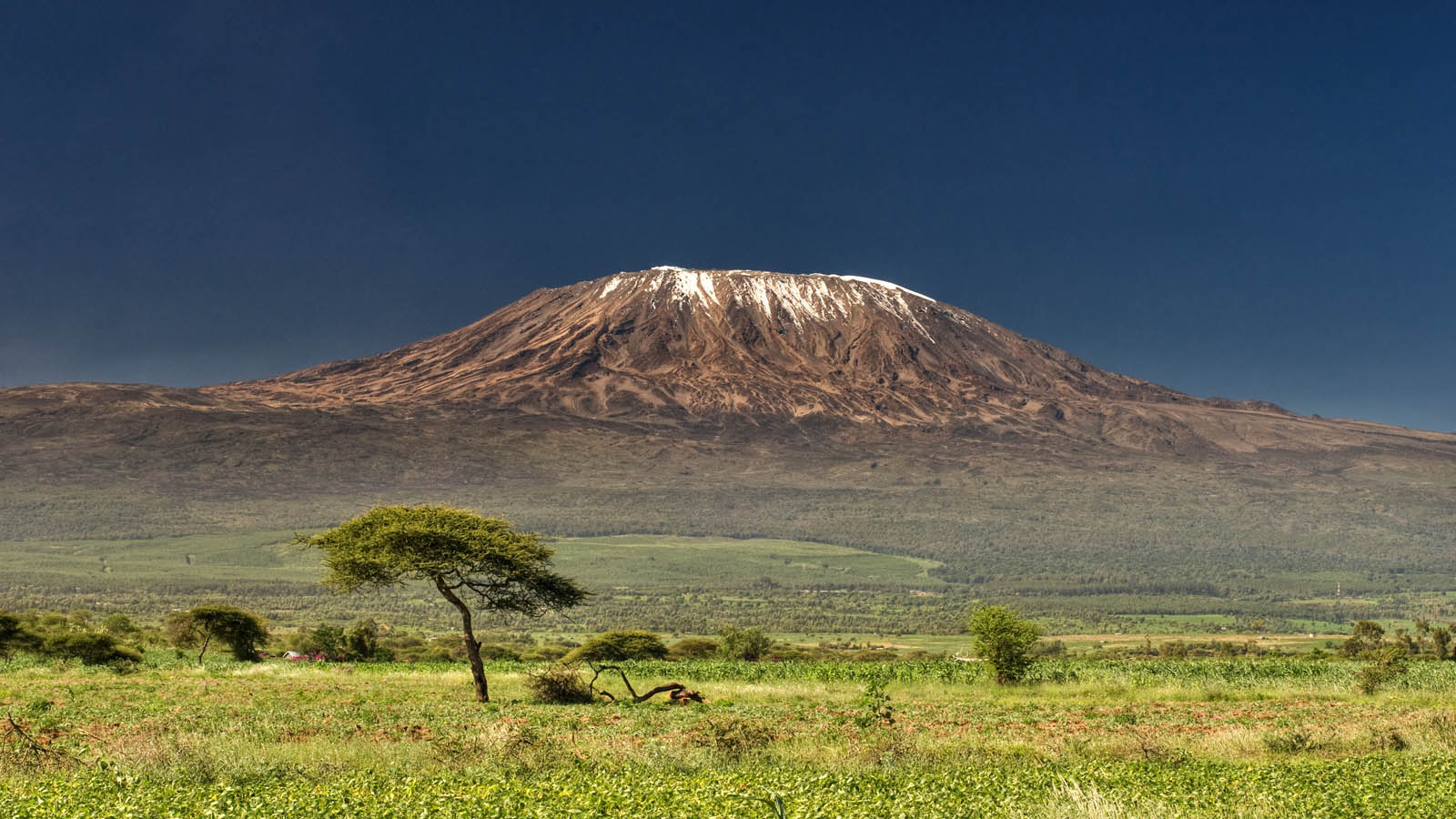 Tanzania Honeymoon