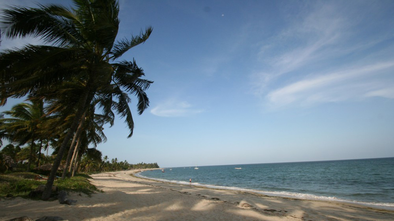 Tanzania Safari and beach
