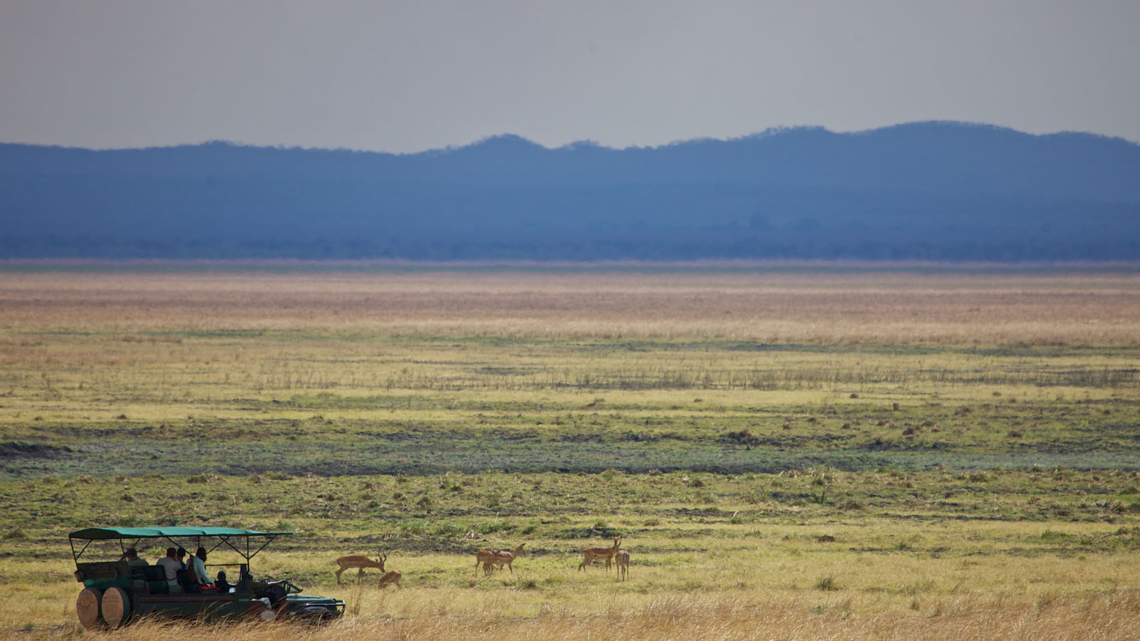 Tanzania Safari and beach