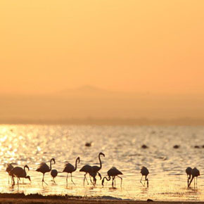 Lake Manyara