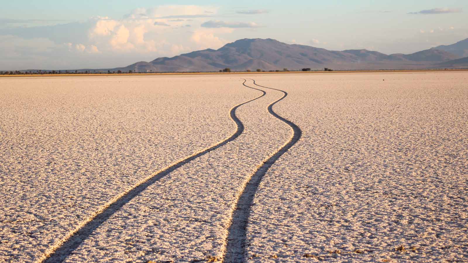 Tanzania Safari and beach