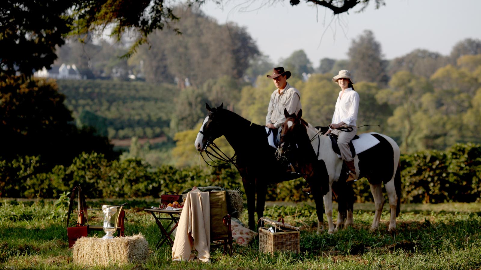 Tanzania Safari and beach