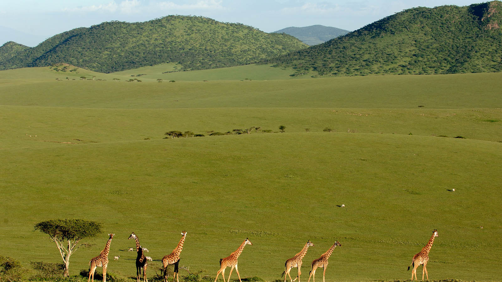 Tanzania Honeymoon