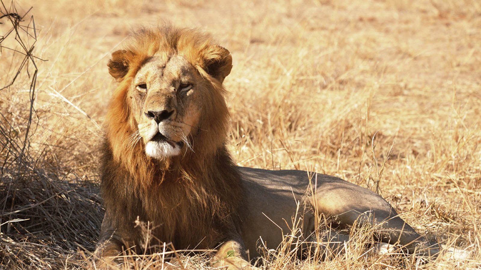 Tanzania Holiday