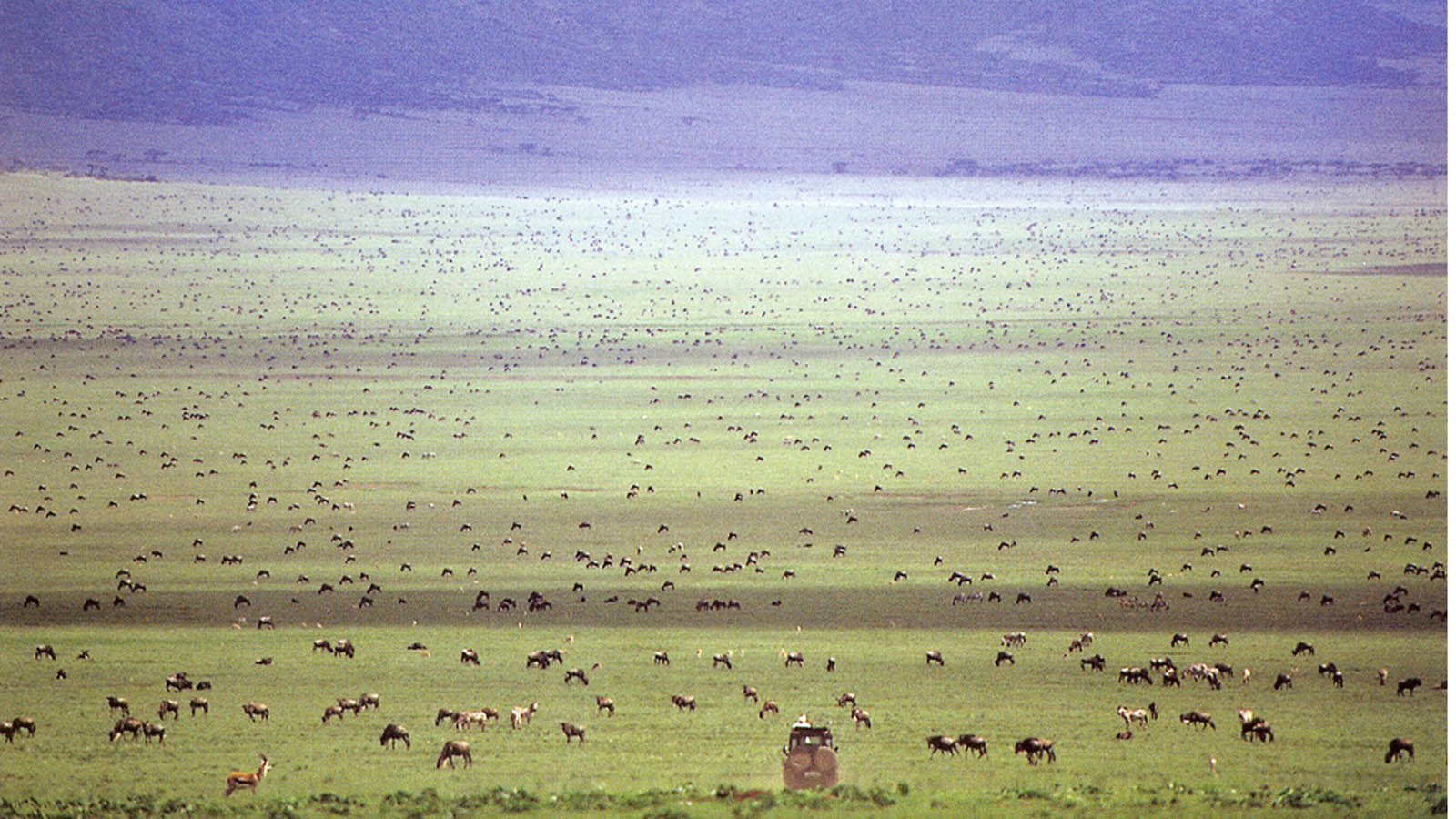 Legendary Serengeti Camp  Mobile Safaris with Tanzania Odyssey