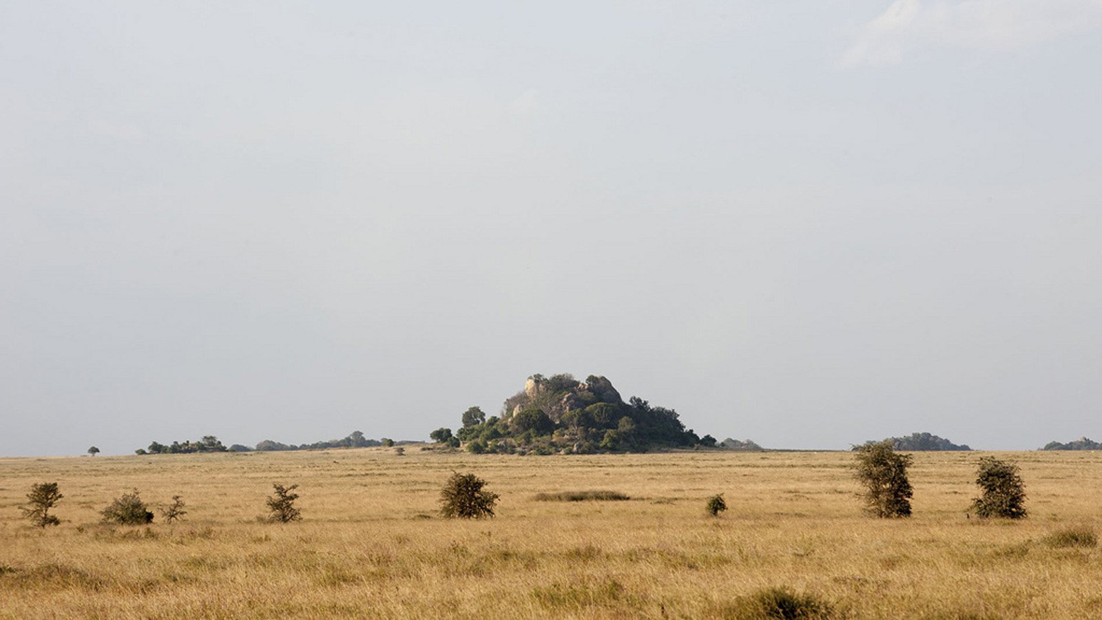 Tanzania Honeymoon