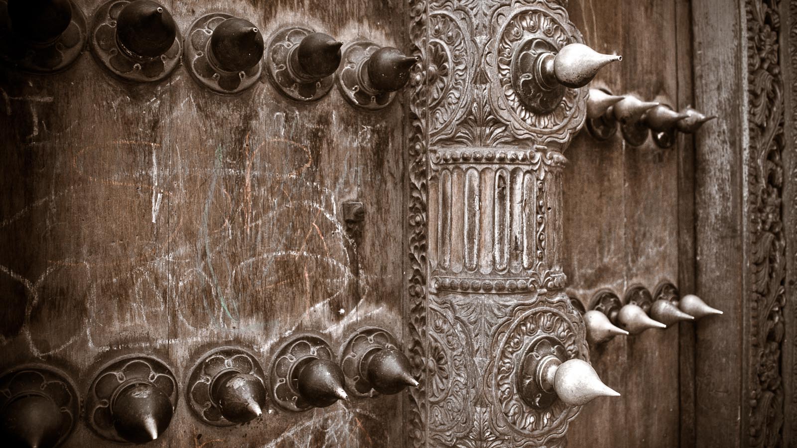 Tanzania Safari and beach